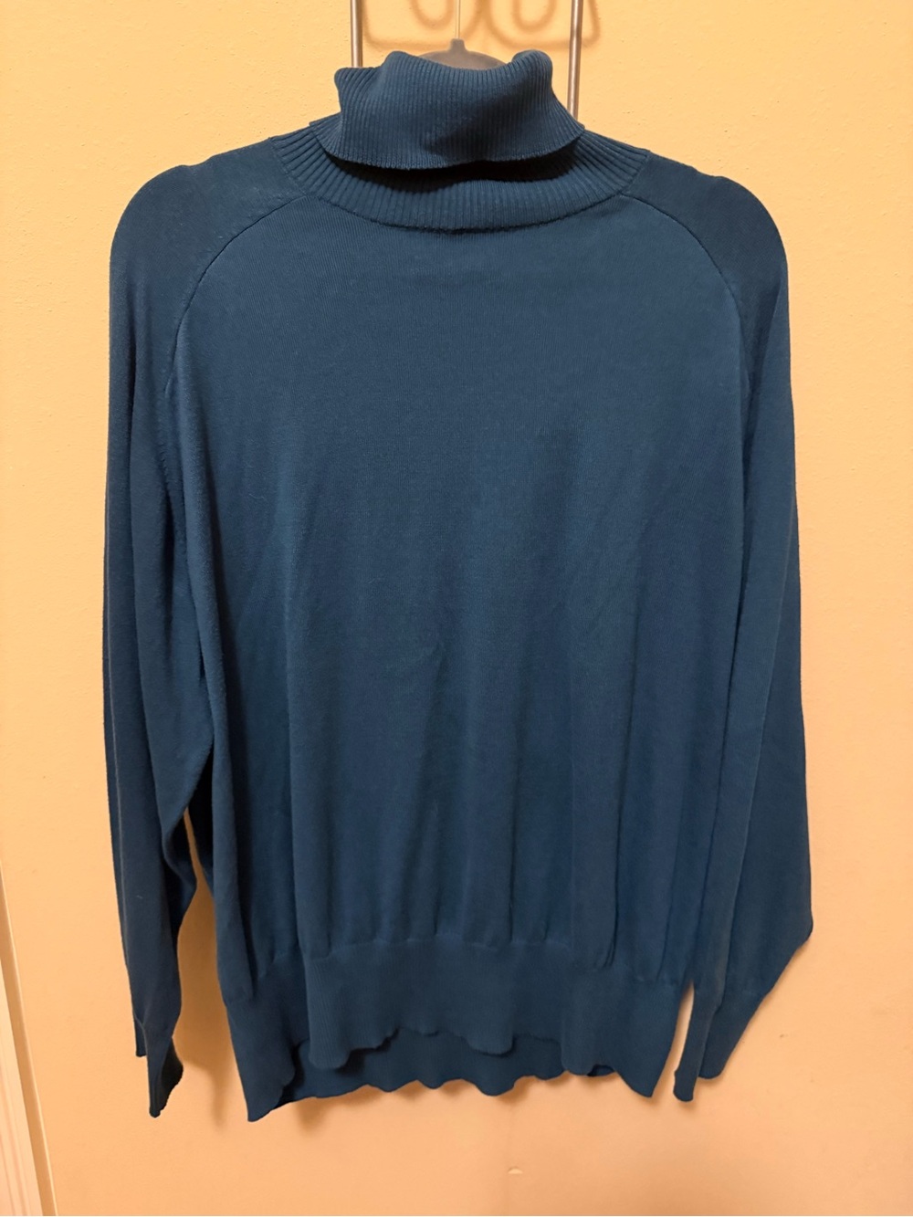 Universal Standard Teal Turtleneck Sweater